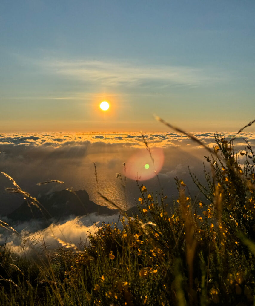 Adventure Tours Madeira 3